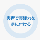 実習で実践力を身に付ける