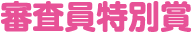 審査員特別賞