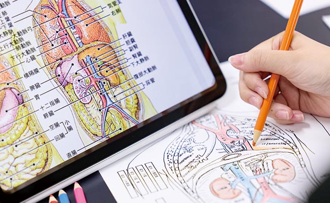 看護医療コースのイメージ画像